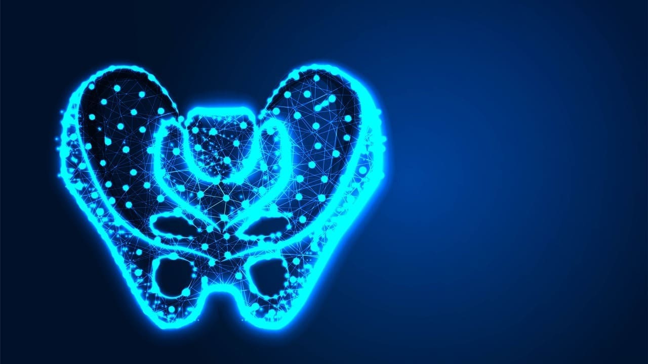 Titanium Artificial Hip