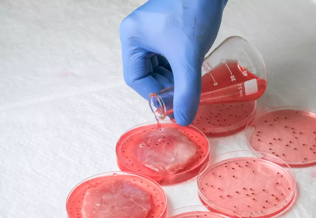 Types of Cell Therapy