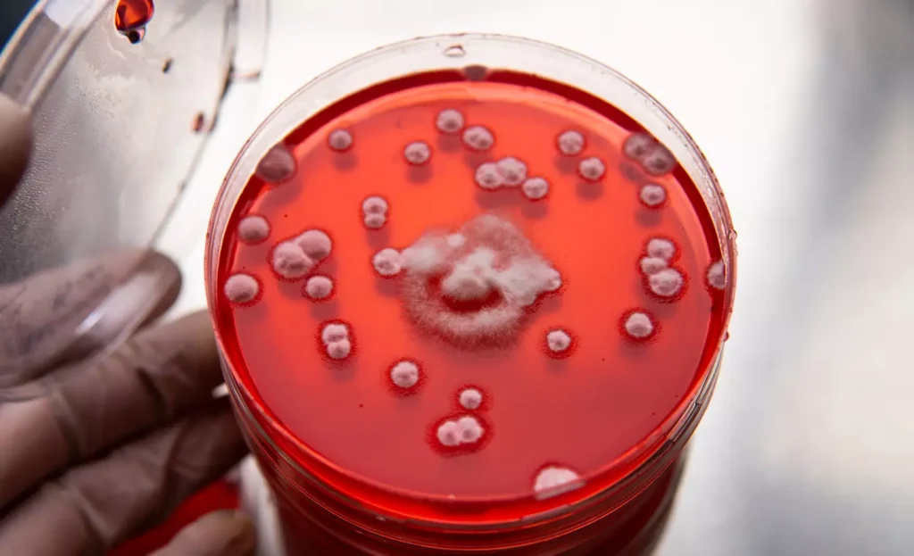 Understanding Blood Cancer