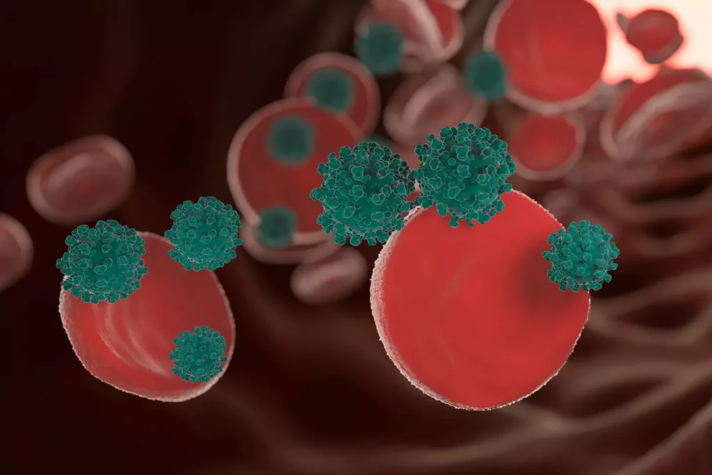 Understanding Blood Cancer Understanding Blood Cancer