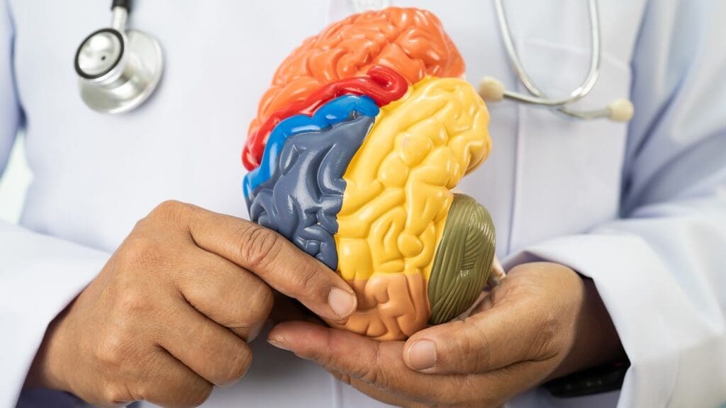 Understanding Brain Stem Tumor