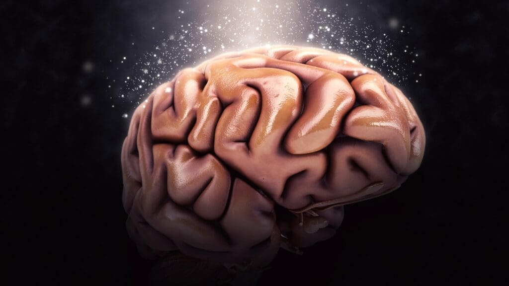 Understanding Brain Surgery Understanding Brain Surgery