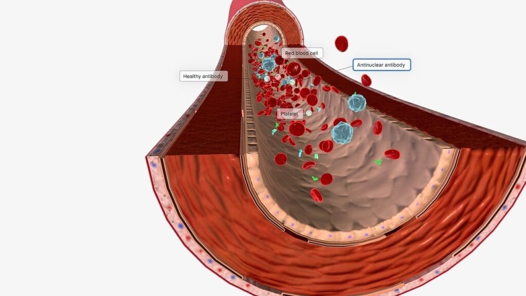 Unique Blood Carried Unique Blood Carried