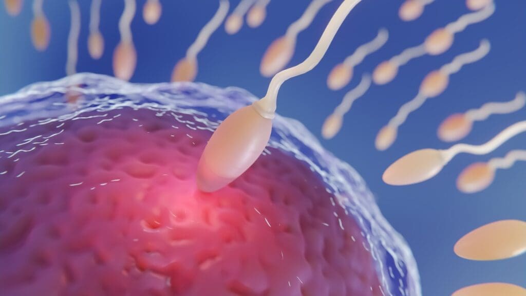 Viagra mechanism of action