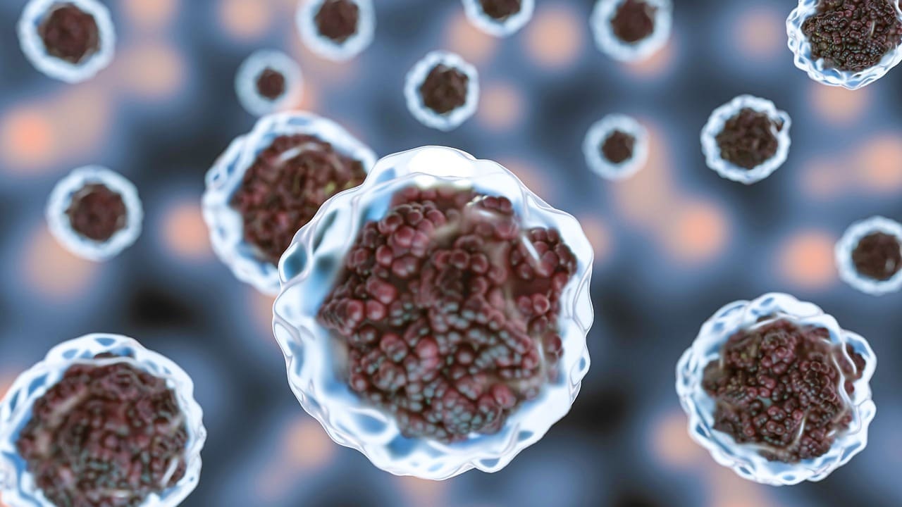 What Are Hematopoietic Stem Cells