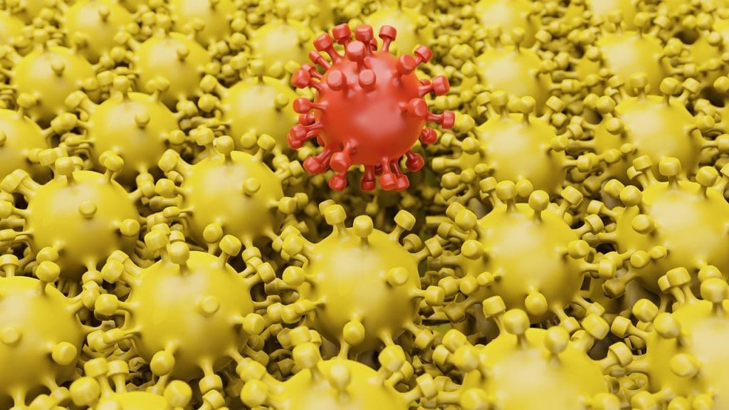 What Defines Chronic Graft Versus Host Disease