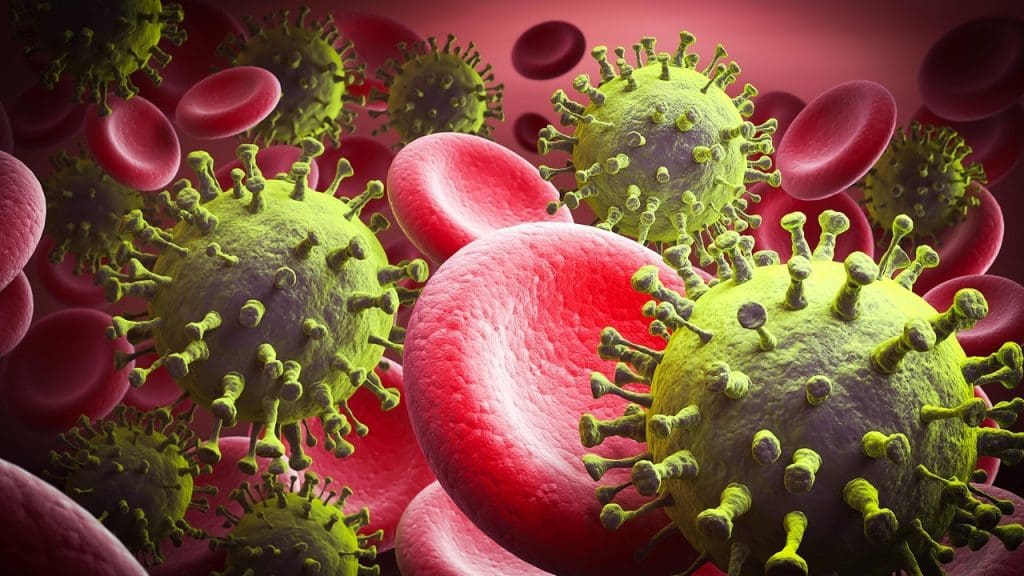 What Is Graft-Versus-Host Disease