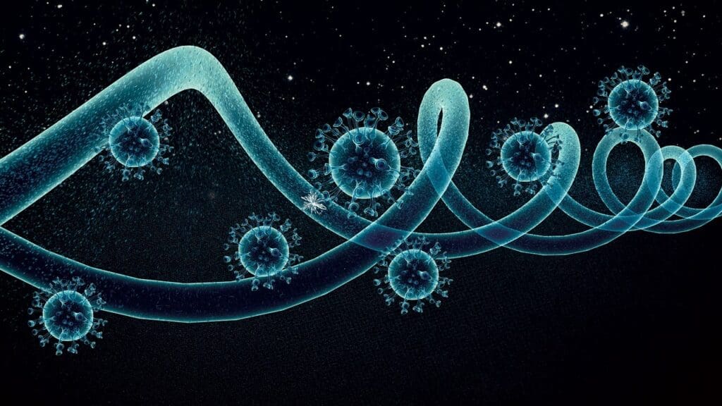 What Is a Haplo Transplant What Is a Haplo Transplant