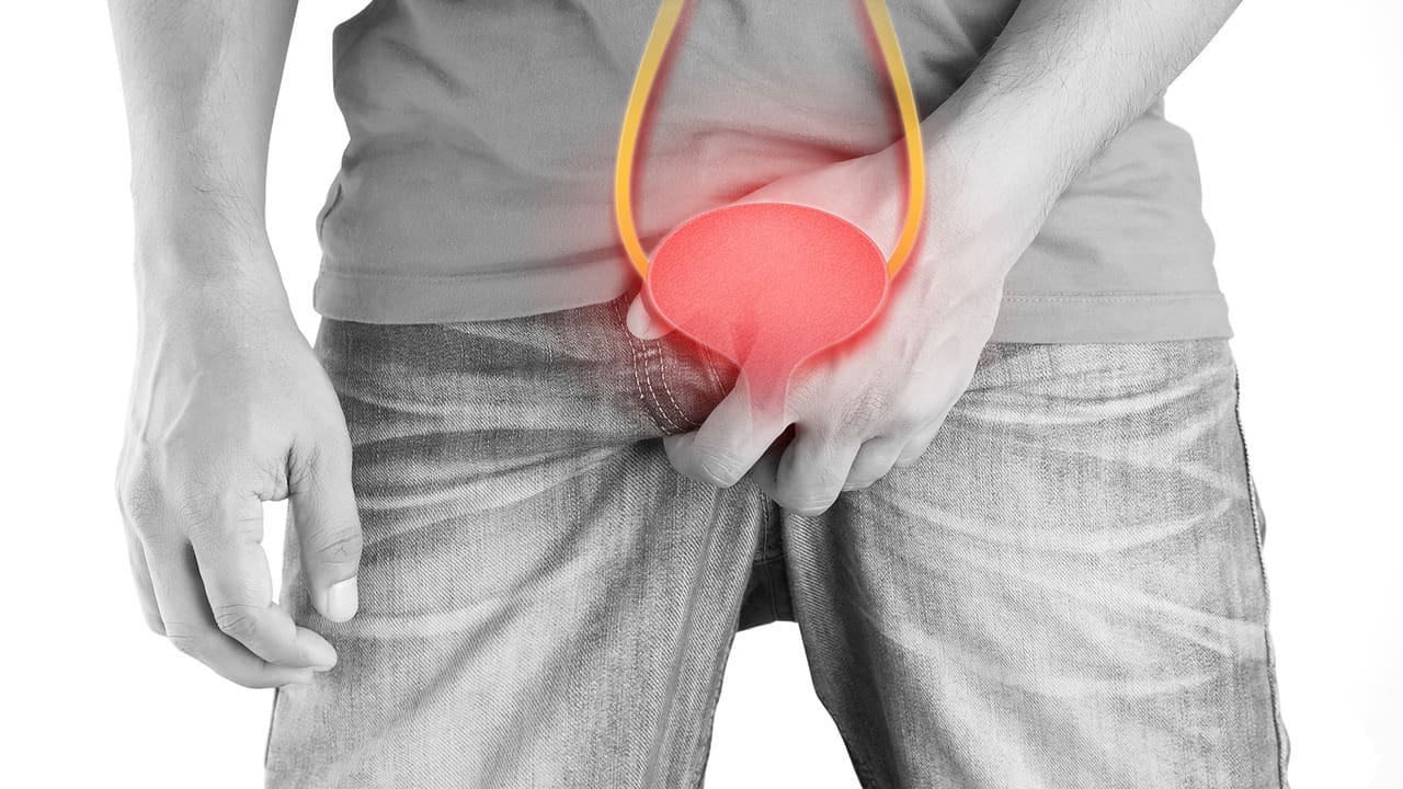 What Is the Prostate in Men