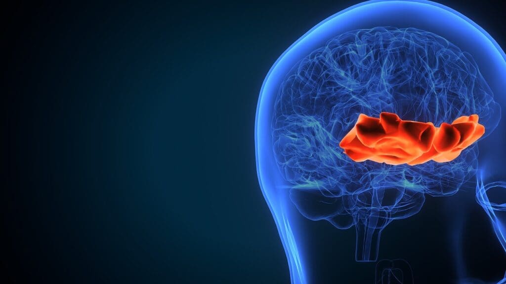 What Makes Brain Stem Cancer Unique