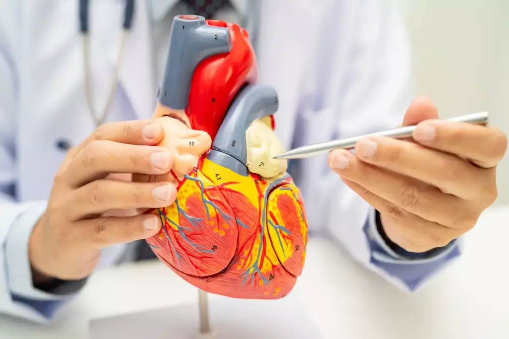 When Is CABG Surgery Necessary? When Is CABG Surgery Necessary?