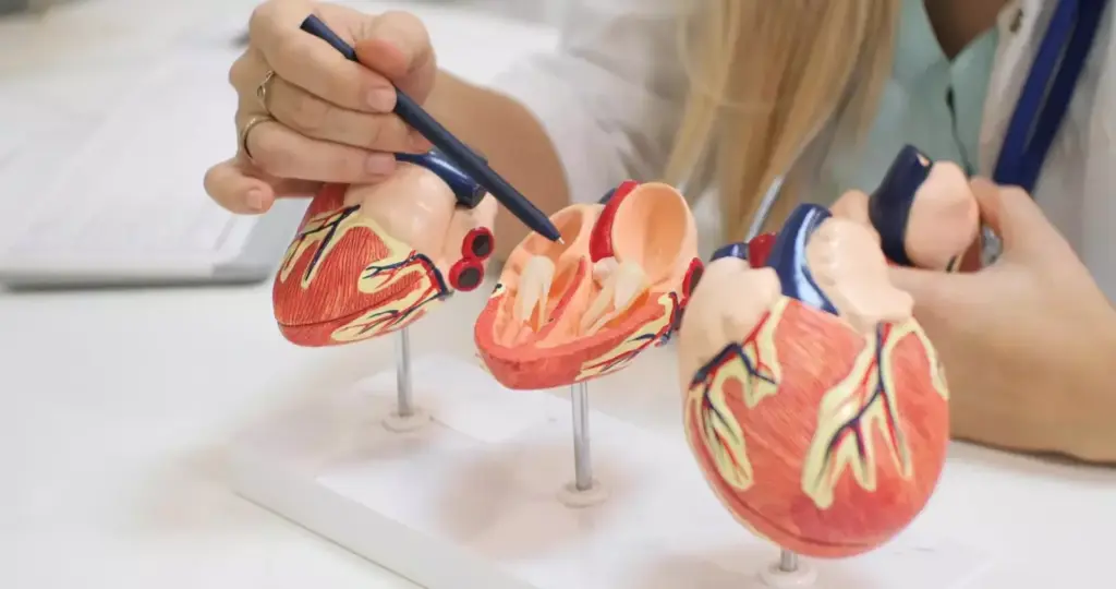 a detailed, anatomically accurate illustration of the coronary artery occlusion process, showcasing the progressive narrowing of the artery lumen due to plaque buildup and resulting in restricted blood flow to the myocardium. The image should depict the cross-section of the coronary artery, with a gradual progression from a healthy, open artery to a partially and then completely occluded one. The foreground should focus on the pathological changes within the arterial wall, with a clear visualization of the plaque formation and its impact on the lumen. The middle ground should provide context by showing the surrounding myocardial tissue, and the background should set a clinical, medical atmosphere with subtle lighting and muted colors to emphasize the seriousness of the condition.