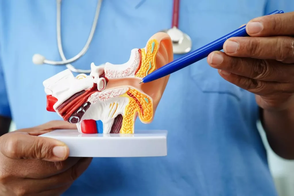 a detailed medical diagram of a bone grafting procedure in the dental field, showing the step-by-step process with labeled anatomical structures. the scene is set in a well-lit operating room with clean, sterile surfaces. the foreground depicts the surgeon carefully harvesting bone graft material from the patient's hip area using surgical tools. the middle ground shows the prepared graft site in the patient's mouth, with the jawbone clearly visible. the background features medical equipment and instruments arranged neatly. the overall mood is informative and educational, with a focus on the technical aspects of the procedure.