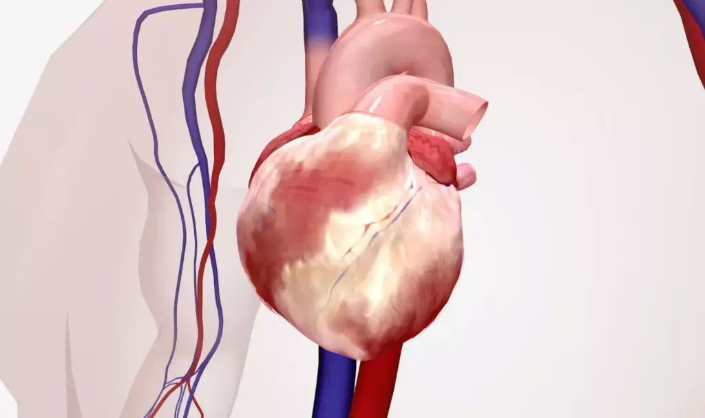 a detailed medical diagram showing three different types of heart valve surgeries, rendered with precise anatomical accuracy and technical precision. in the foreground, a delicate aortic valve replacement procedure is depicted, with the surgeon's hands carefully manipulating the intricate valve structure. in the middle ground, a mitral valve repair operation is shown, with the damaged valve leaflets being meticulously mended. in the background, a complex tricuspid valve reconstruction is illustrated, showcasing the surgeon's skilled reconstruction of the three-part valve. the image is rendered with a cool, clinical tone using a combination of bright surgical lighting and muted gray-blue tones, conveying a sense of technical mastery and medical authority.
