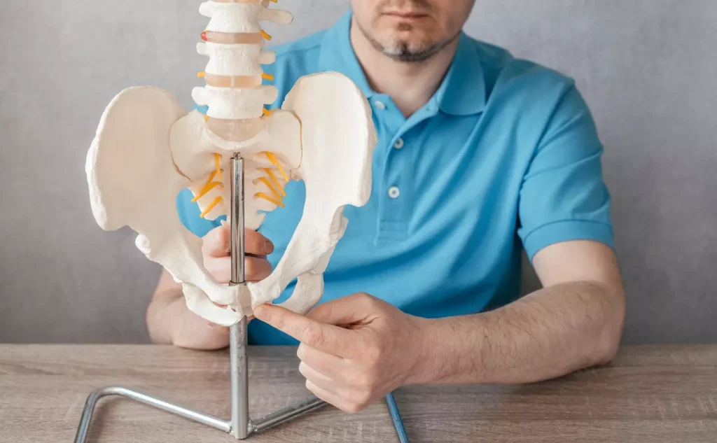 a highly detailed, scientifically accurate diagram of the internal structure and anatomy of bone marrow, showcasing the various cell types and components in a cross-sectional view. The image should be rendered in a clean, technical style with precise linework and subtle shading to emphasize the intricate details. Depict the different regions of the bone marrow, including the endosteum, myeloid tissue, adipose tissue, and vascular network, all drawn to scale and in proper proportions. The diagram should be lit from an angle that casts soft, even lighting across the entire scene, creating depth and clarity. Maintain a neutral, educational tone that conveys the complexity and importance of bone marrow structure.