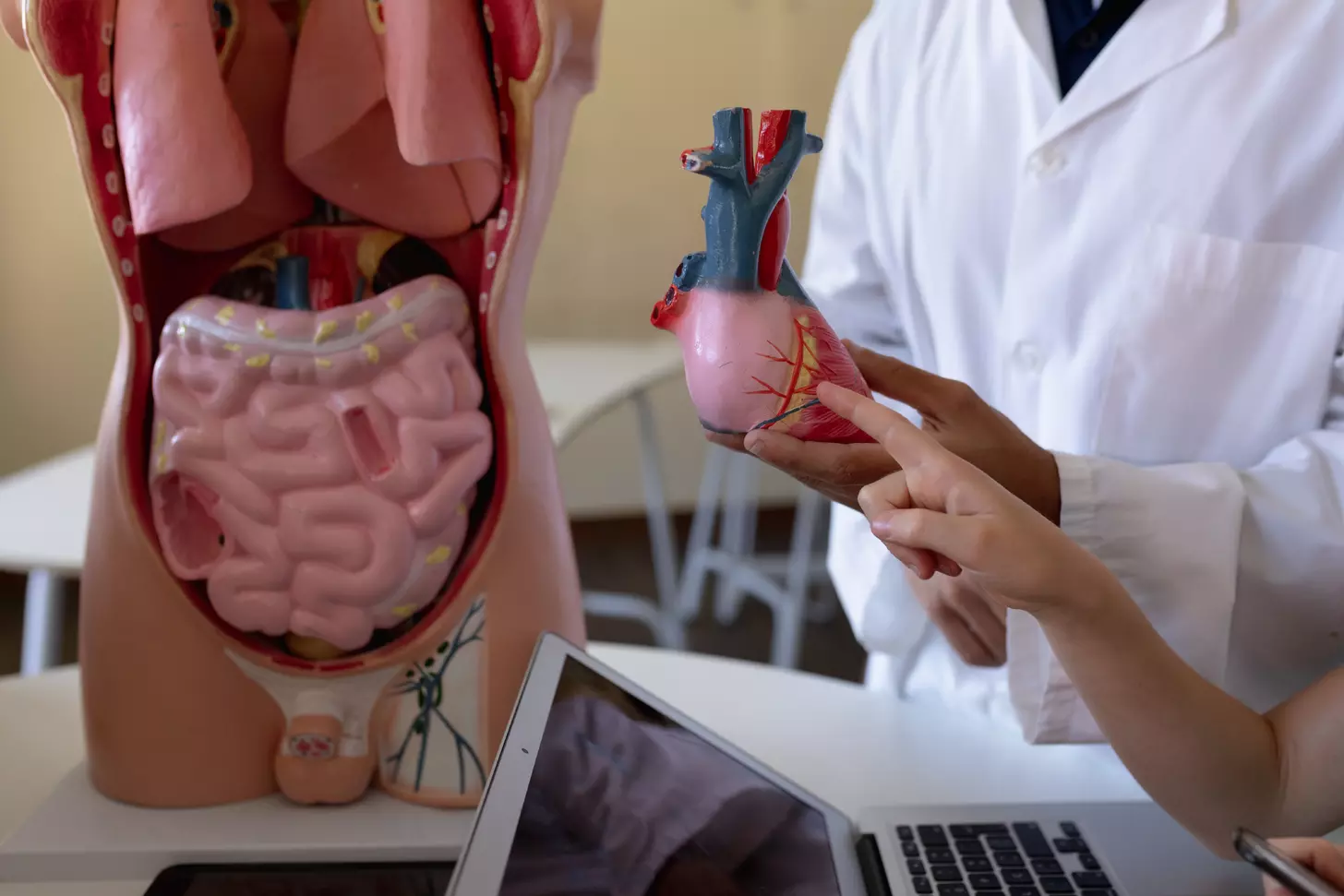 abdominal aortic aneurysm