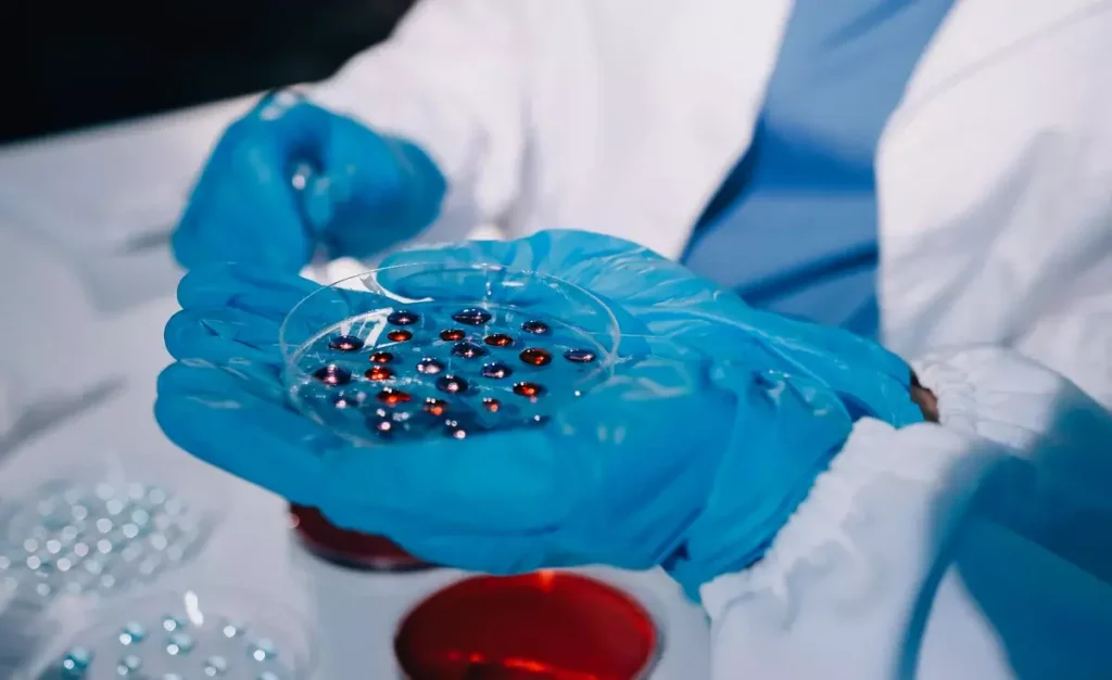 allogeneic hsct transplant