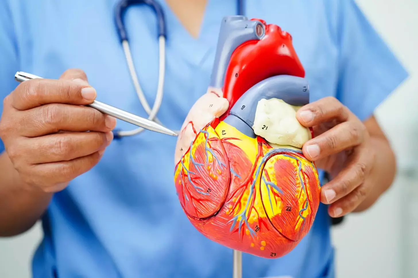 ami in medical terms