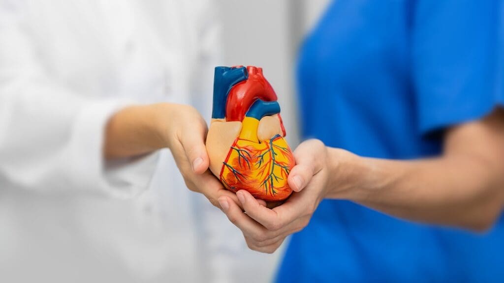 aortic valve anatomy