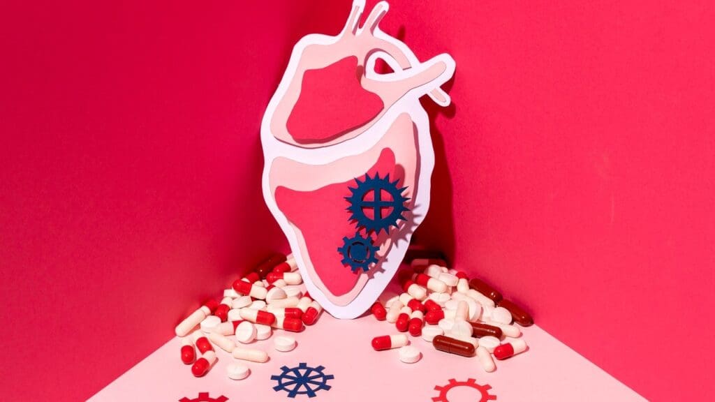 aortic valve anatomy