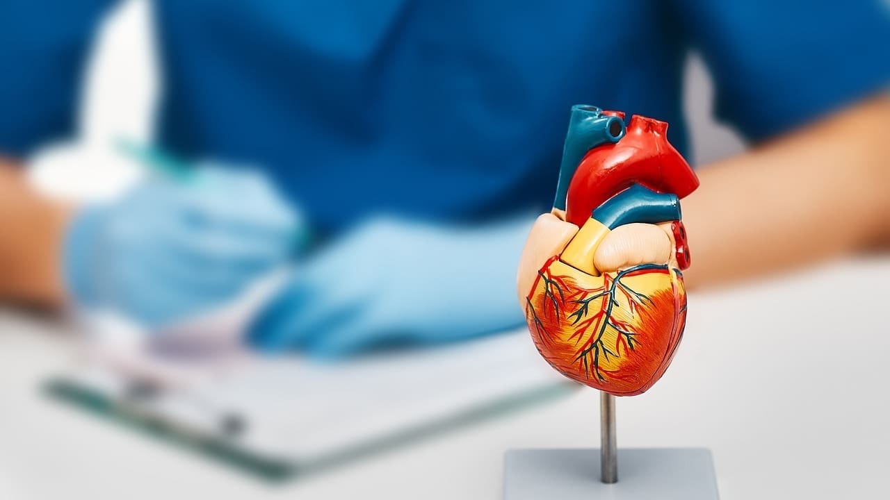 Aortic Valve Mean Gradient: 5 Key Criteria for Grading Aortic Stenosis Severity 1 aortic valve mean gradient LIV Hospital