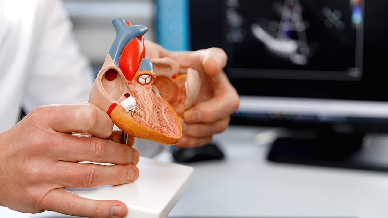 ascending thoracic aorta