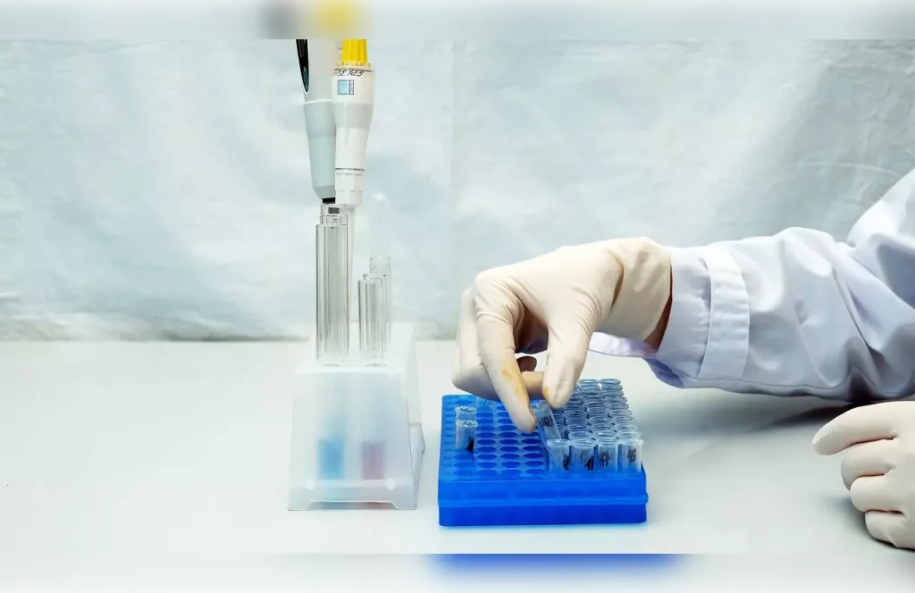 autologous stem cell transplant autologous stem cell transplant