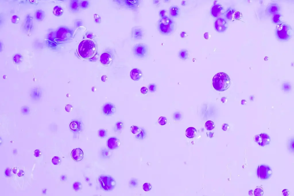 b lymphocytes b lymphocytes