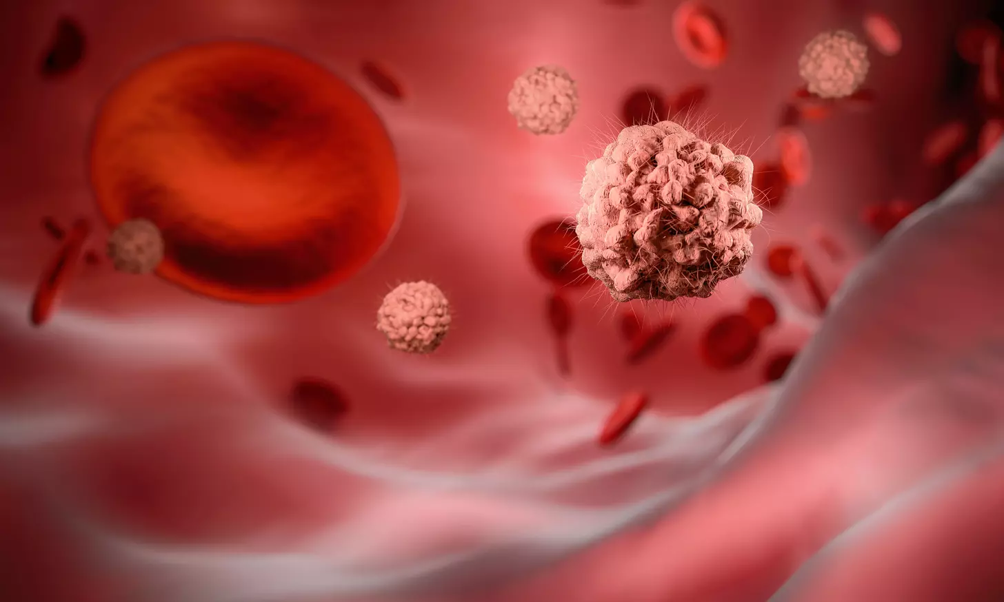 blood cancer treatment