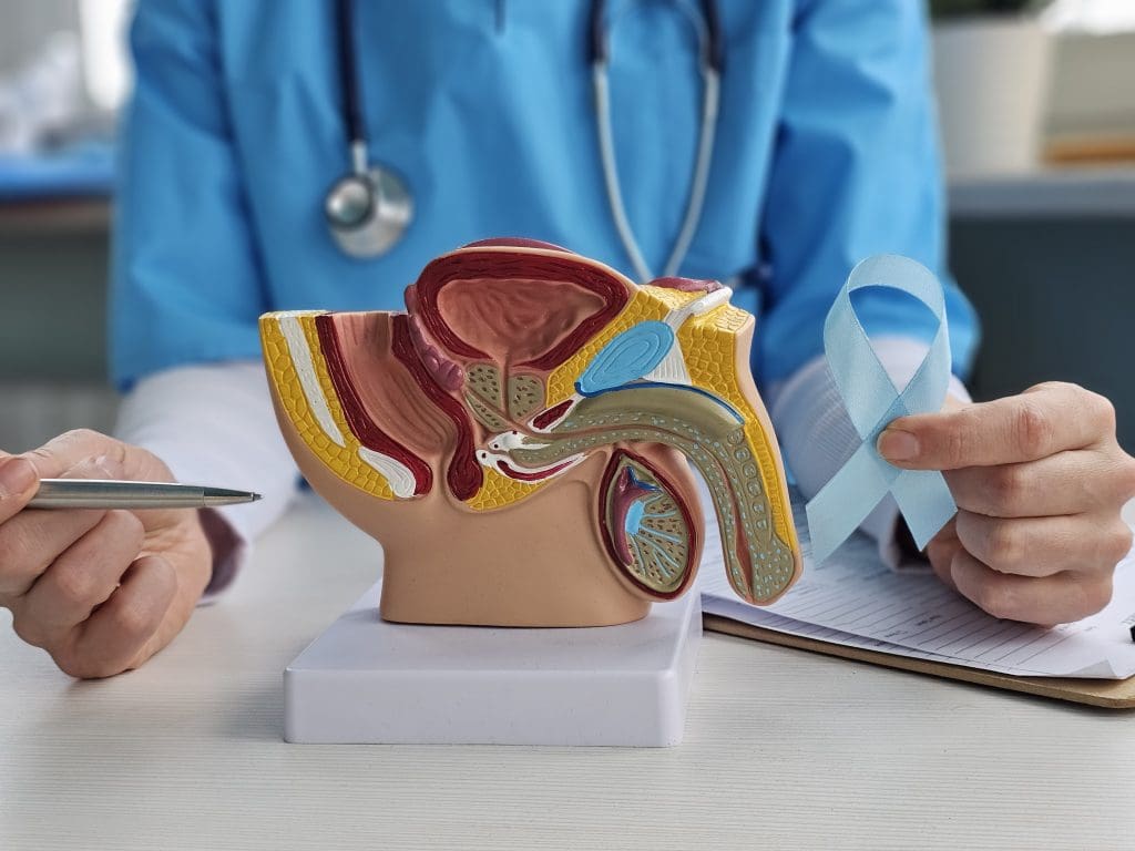 What is the purpose of a man having a prostate? 1 purpose of a man having a prostate