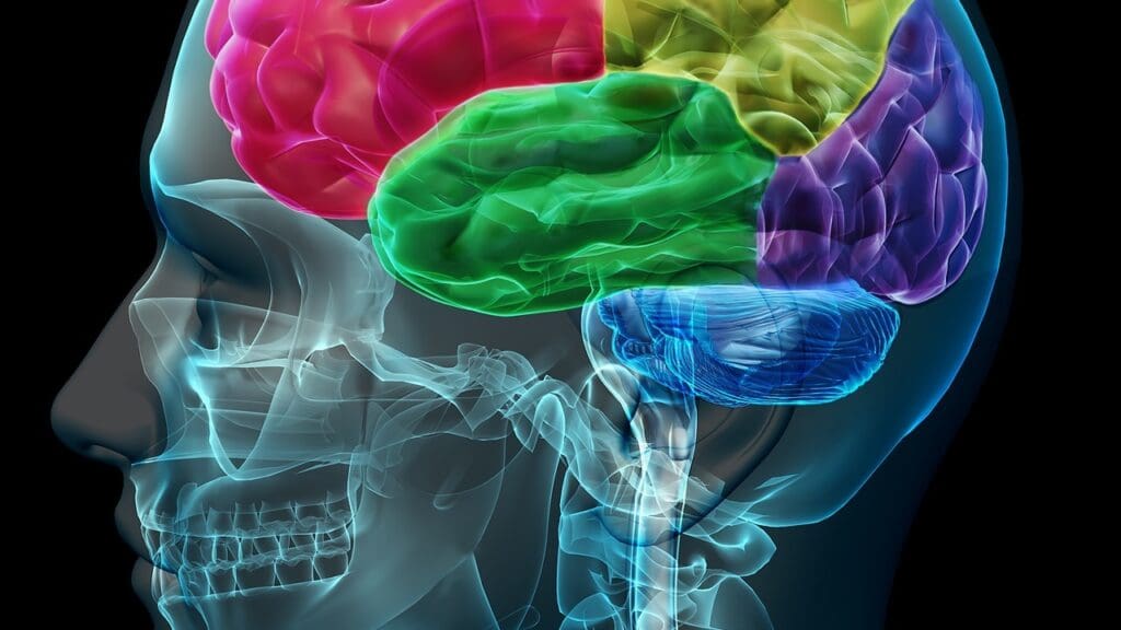 brain activity in coma brain activity in coma