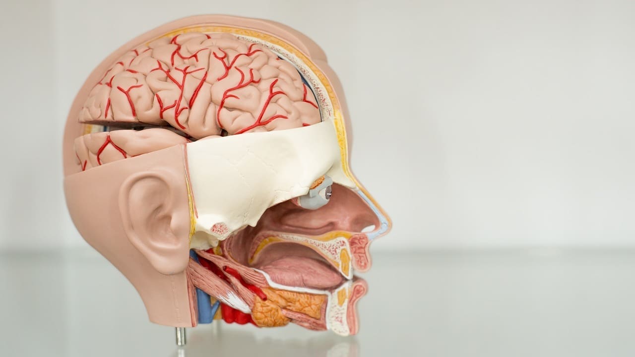 brain cancer behind eye