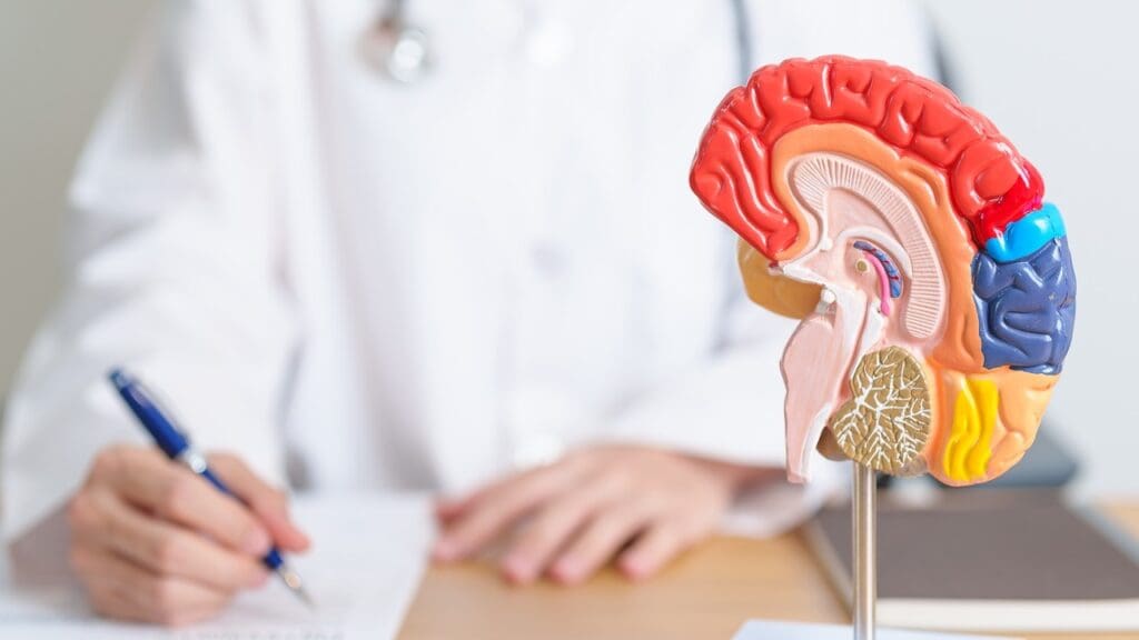 brain cancer survival rate