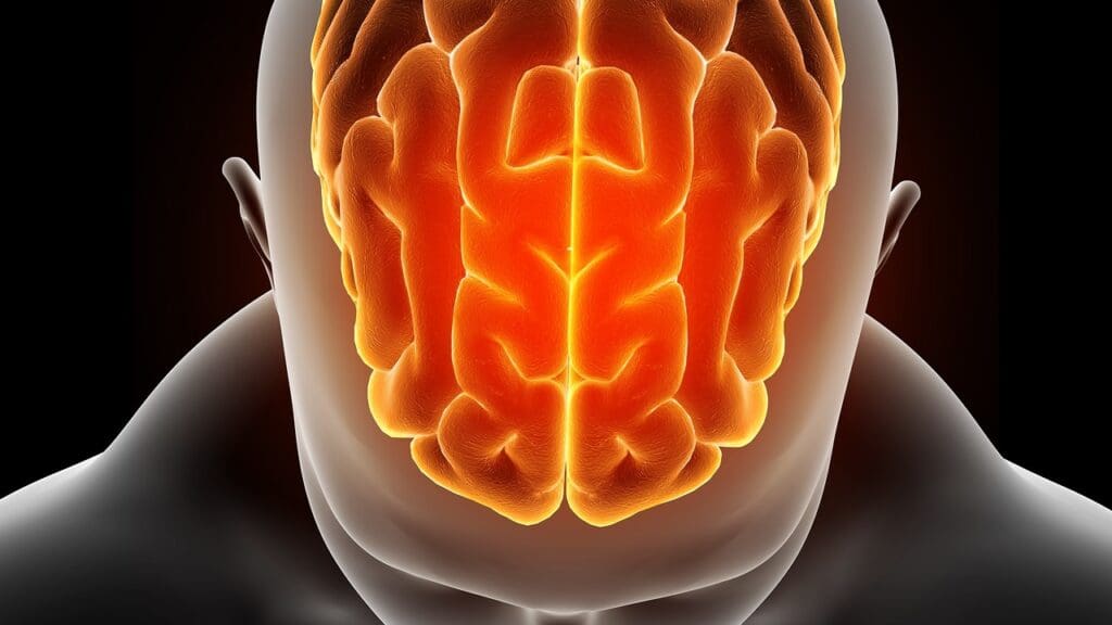 brain inflammation causes