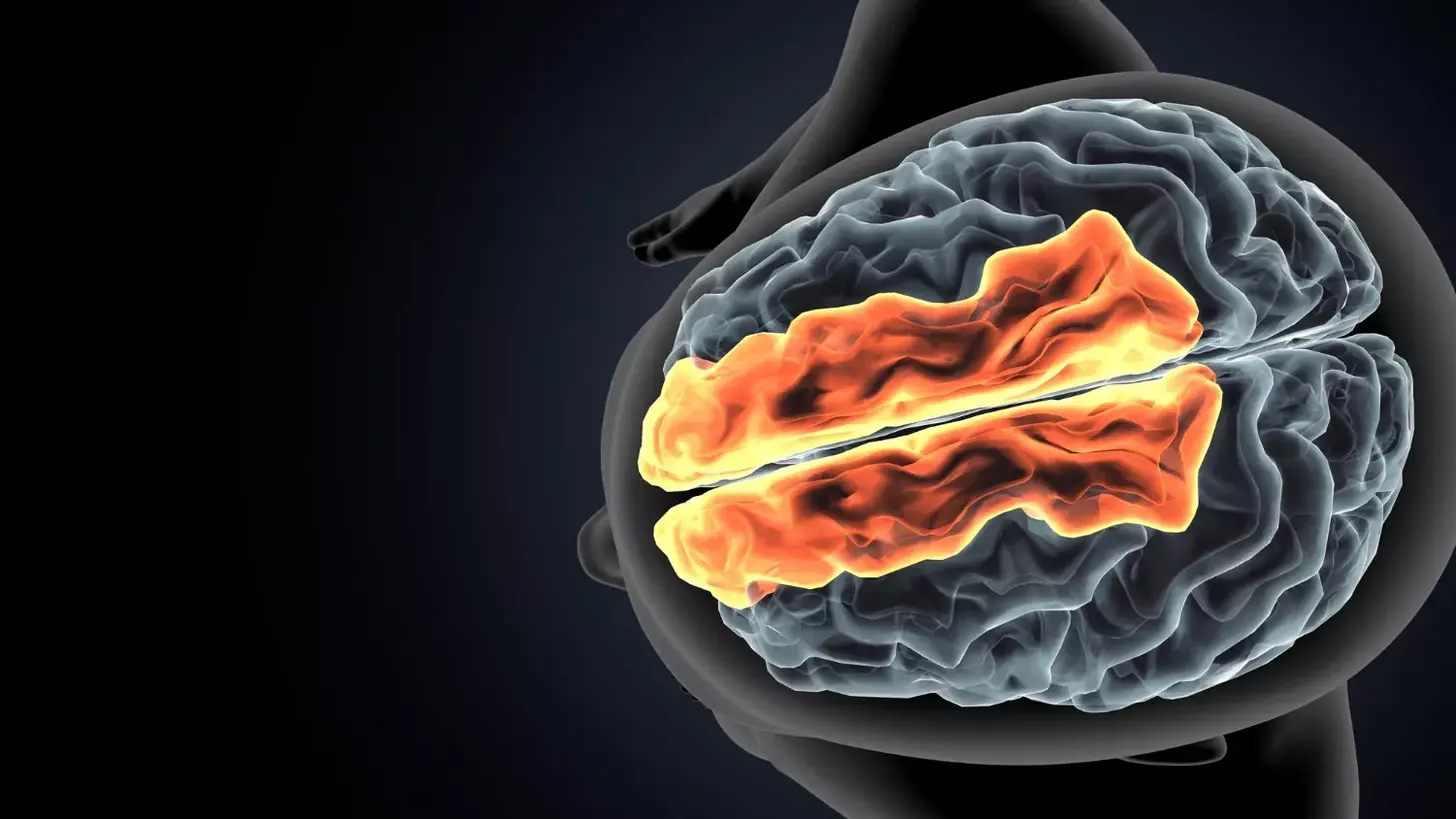 brain lesion vs tumor
