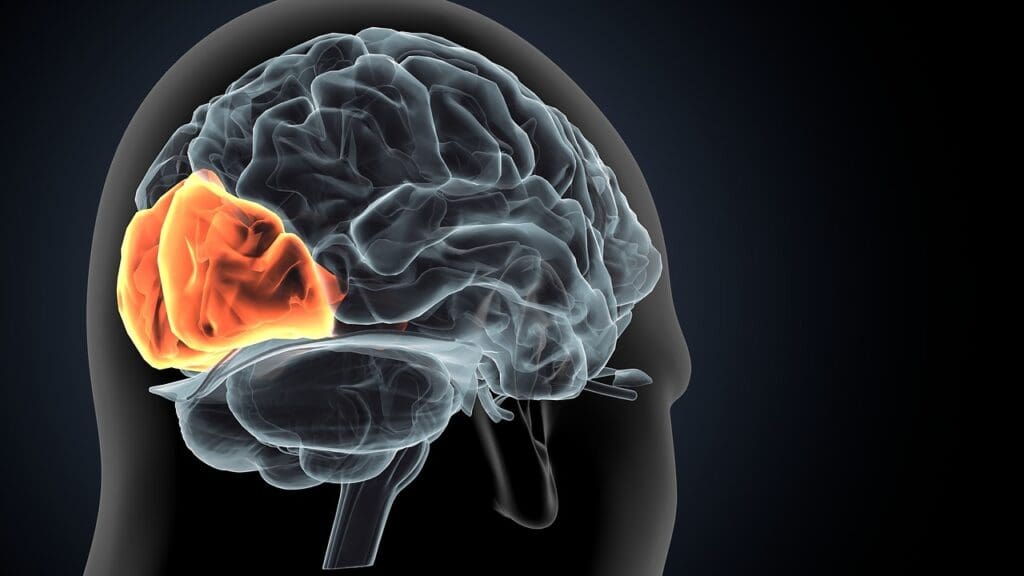 How Can a Brain Tumor Cause Dizziness or Vertigo, and What Are the Warning Signs? 1 How Can a Brain Tumor Cause Dizziness or Vertigo, and What Are the Warning Signs?