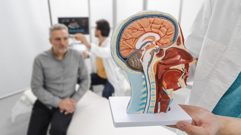 brain tumor locations brain tumor locations