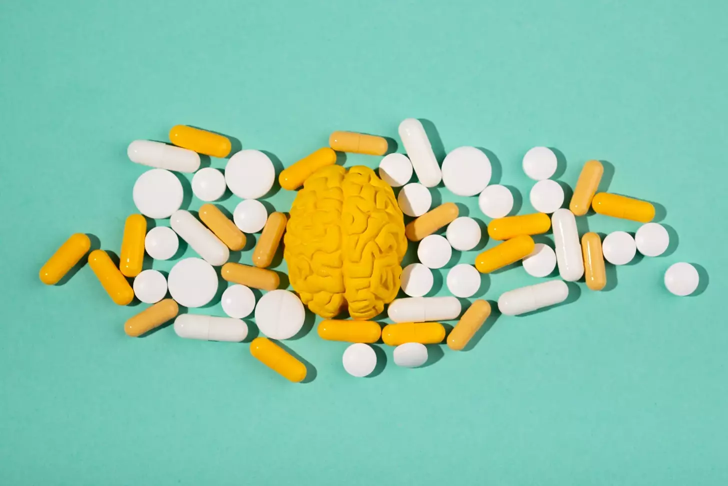 brain tumor medicine