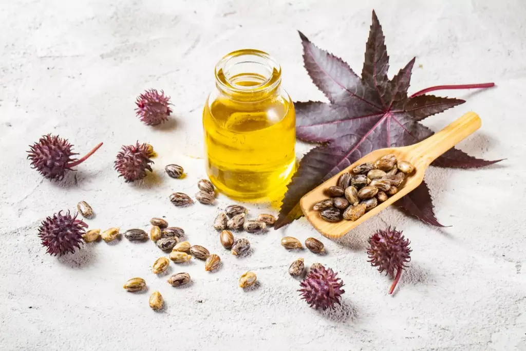can castor oil shrink cancer can castor oil shrink cancer