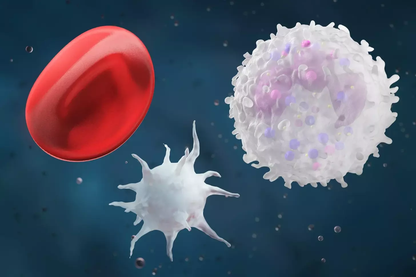 car t cell treatment