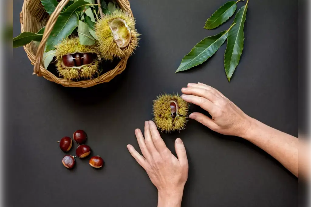 castor oil cancer risk castor oil cancer risk