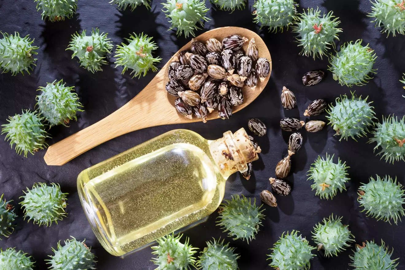 castor oil for cancer tumors