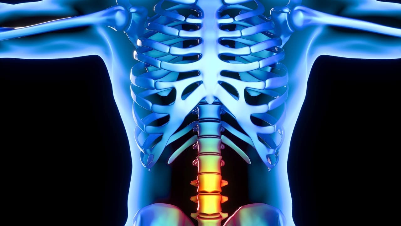 central protrusion of disc