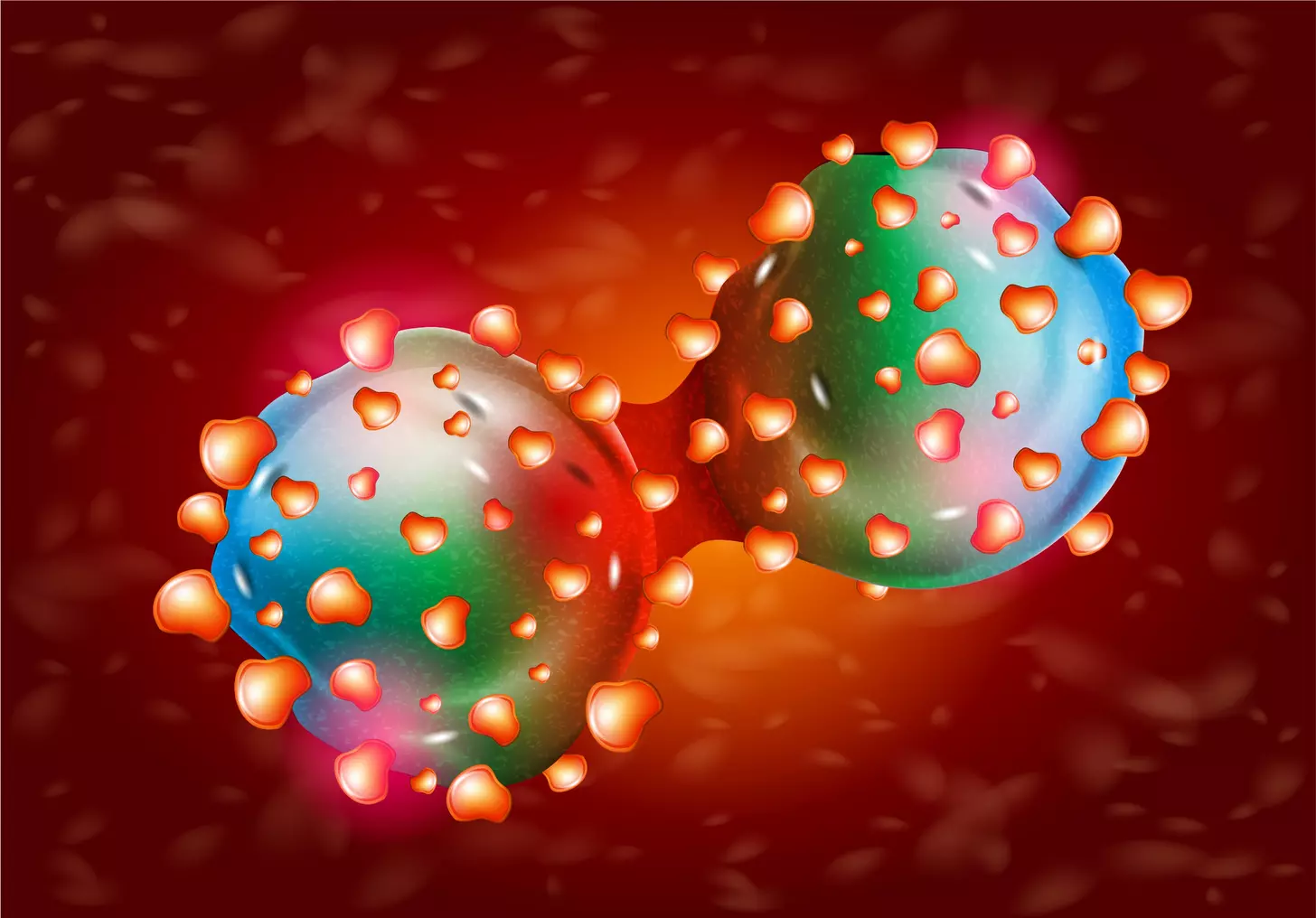 chimeric antigen receptor car t cells