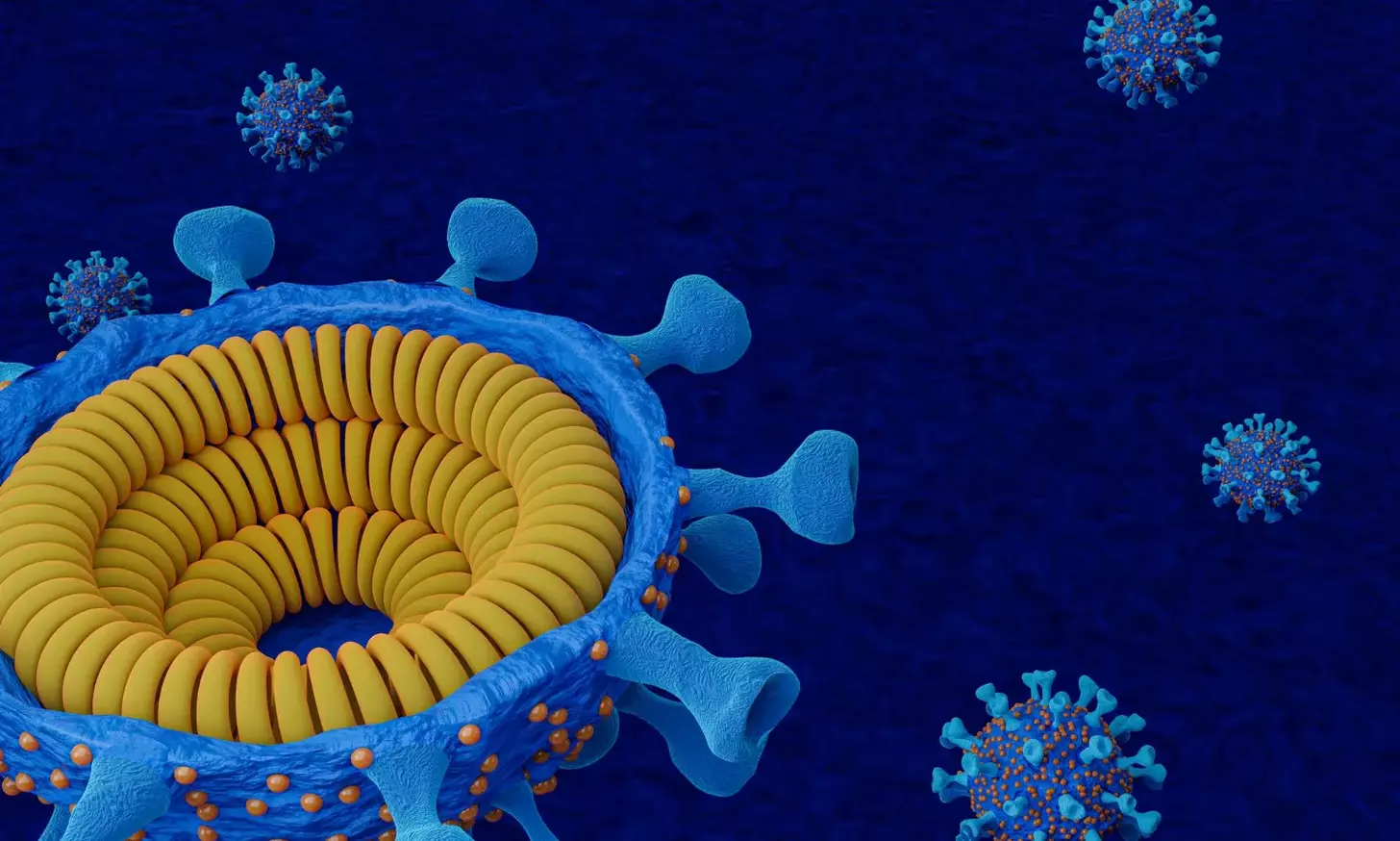 chimeric antigen receptor t cells