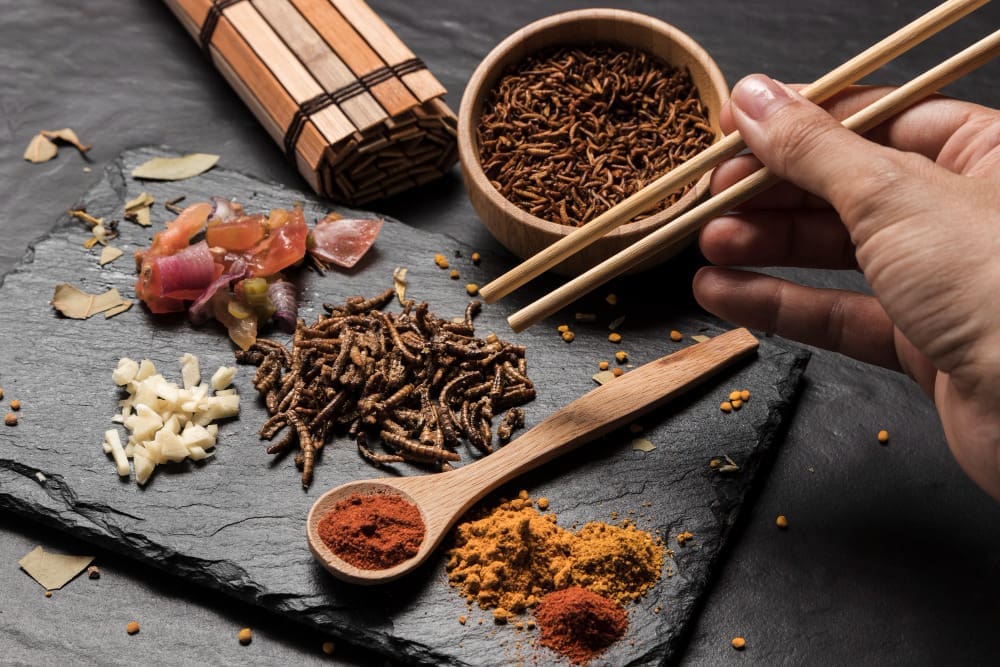 chinese medicine chinese medicine