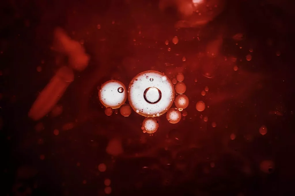 close-up view of hematopoietic stem cells