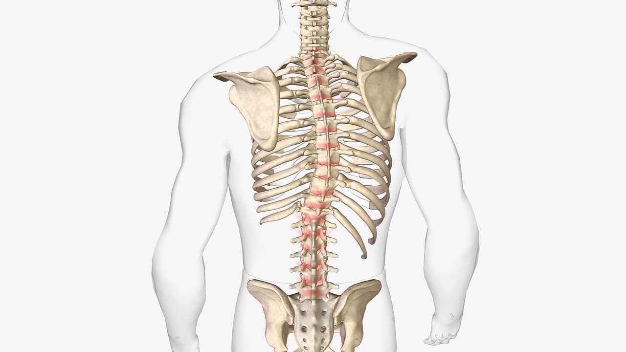 difference between a herniated and bulging disc
