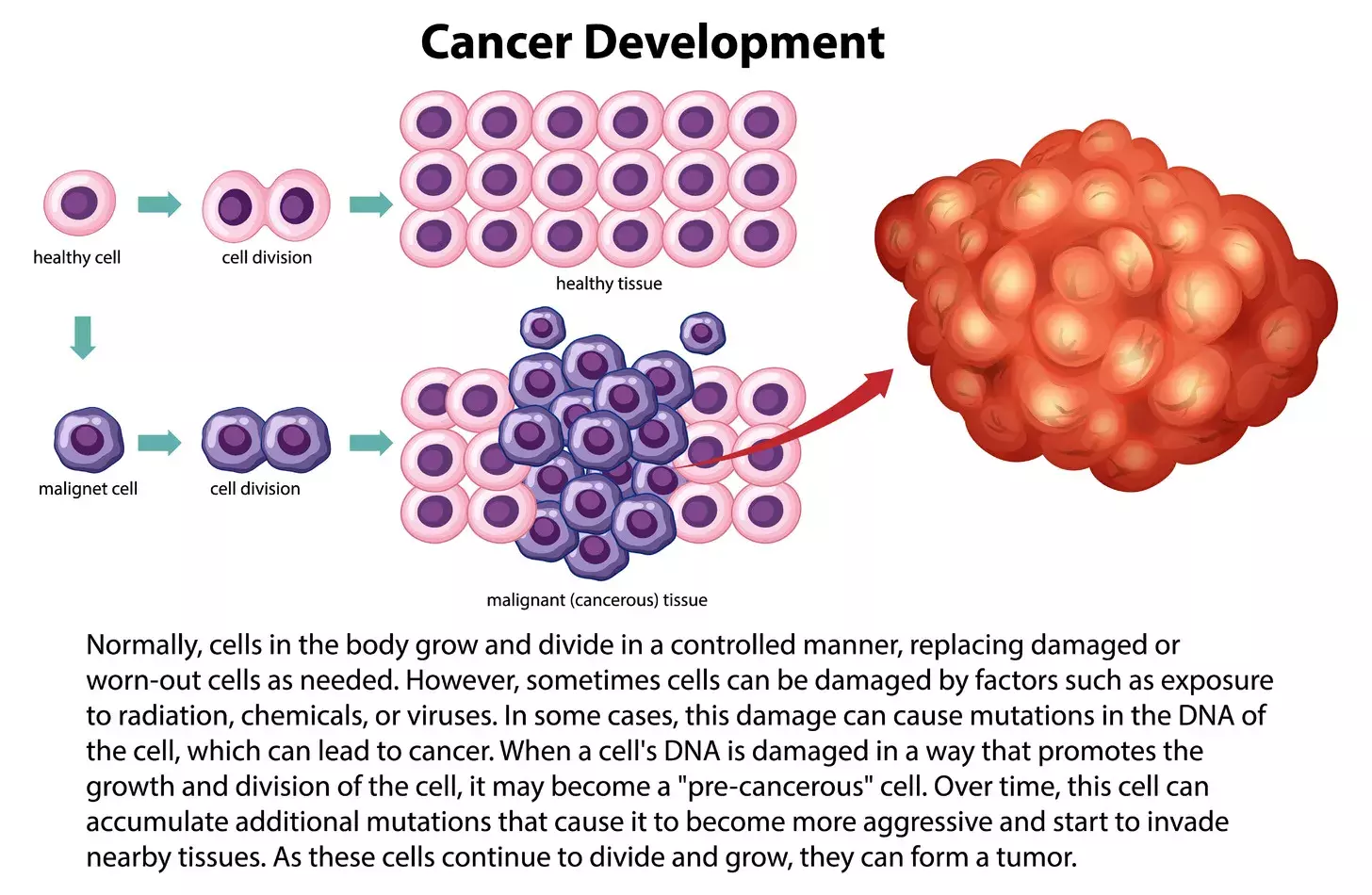 difference between benign tumor and malignant