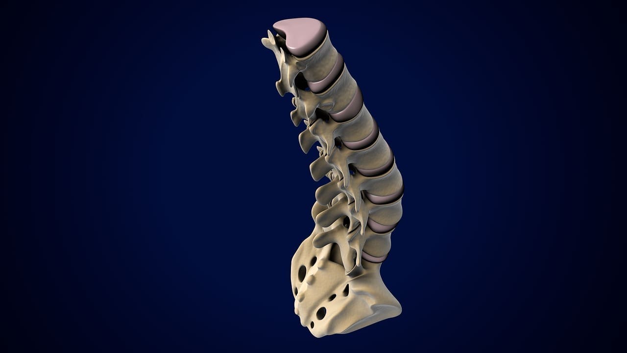 difference between disc bulge and herniated disc